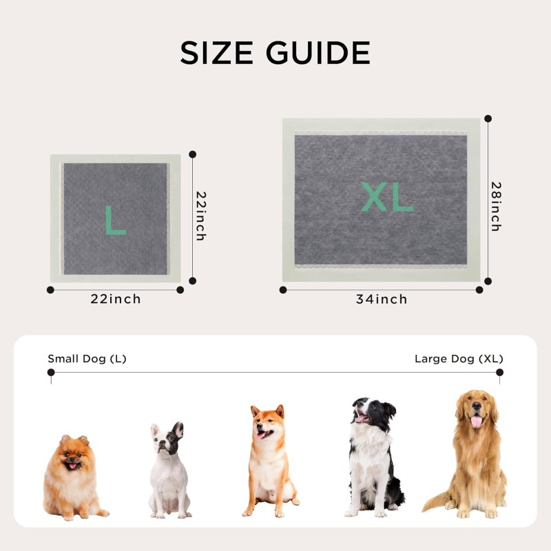 Puppy Training Pads Manufacturer - Super Absorbent 5-Layer