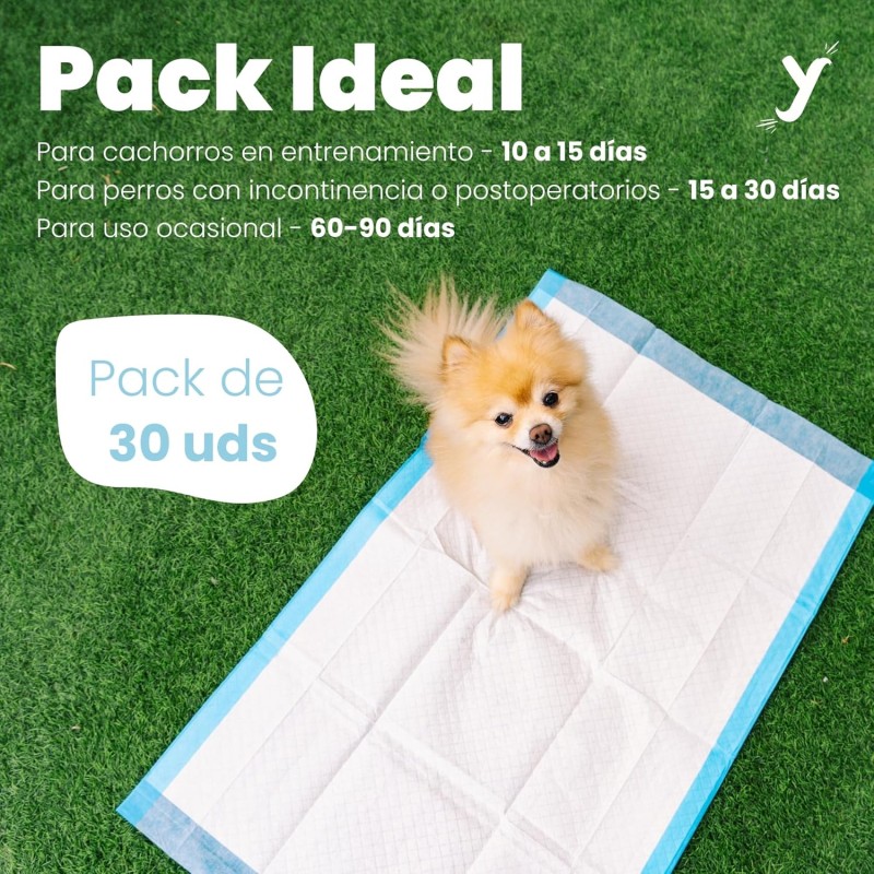 Dog Pee Pads Supplier - Super Absorbent 5-Layer Leak-Proof