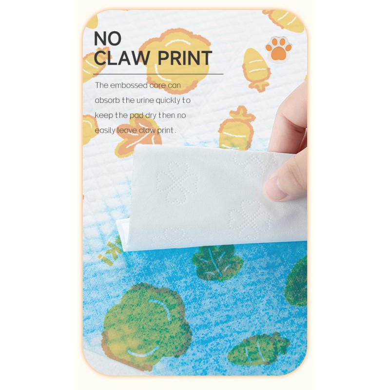 Pet Training Pad Supplier - HAKI HAKI Pee Pads Diaper