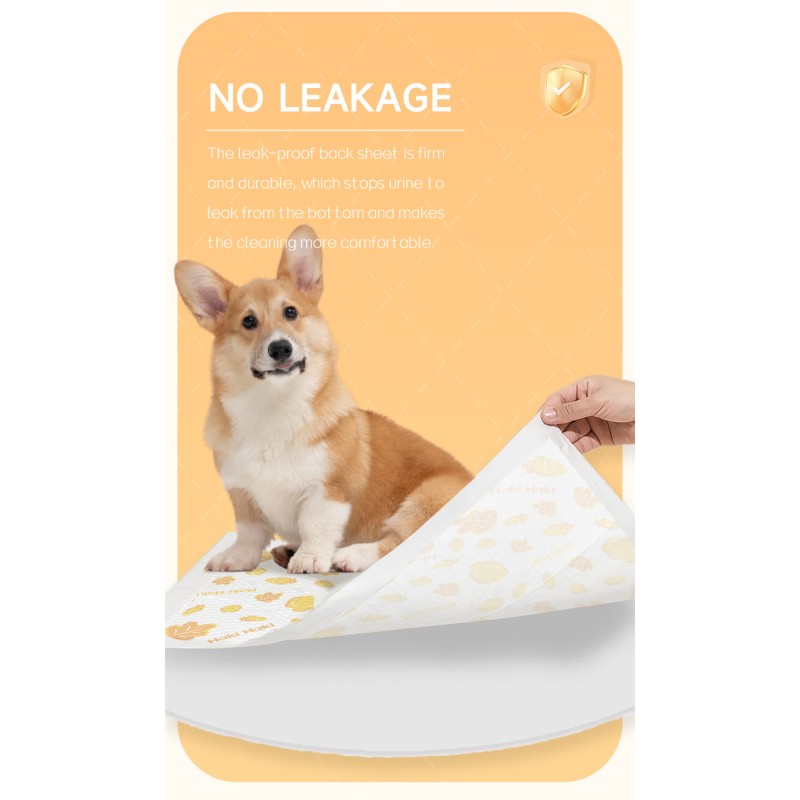 Pet Training Pad Supplier - HAKI HAKI Pee Pads Diaper