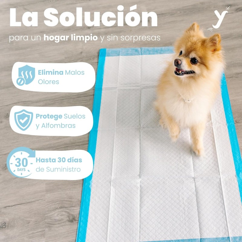 Dog Pee Pads Supplier - Super Absorbent 5-Layer Leak-Proof