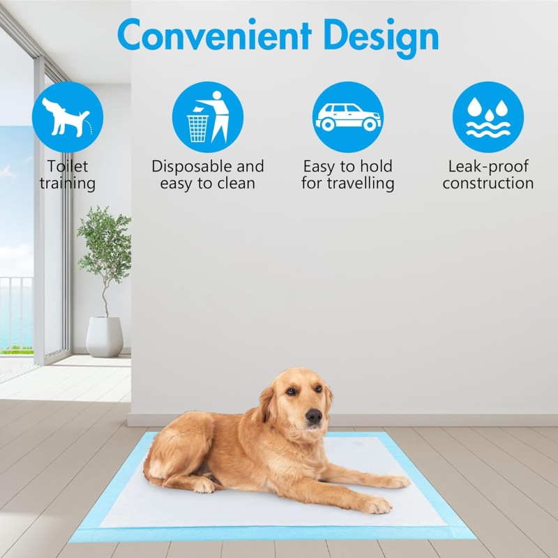 Dog Training Pads Manufacturer - Extra Large Odor Control