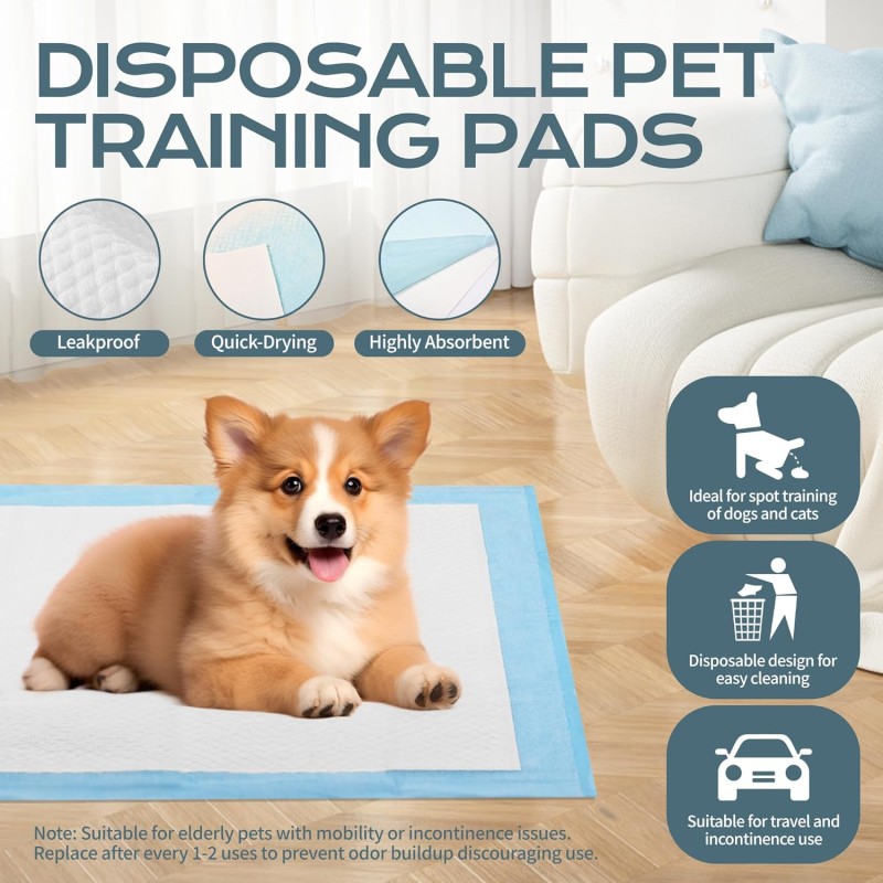 Pet Training Pads Manufacturer - Super Absorbent 5-Layer