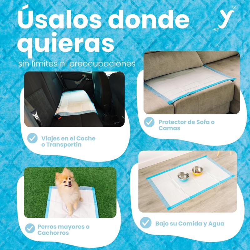 Dog Pee Pads Supplier - Super Absorbent 5-Layer Leak-Proof