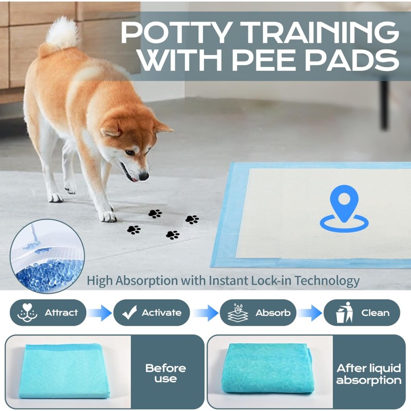 Pet Training Pads Manufacturer - Super Absorbent 5-Layer