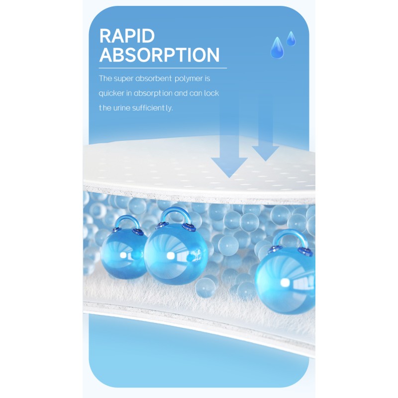 Pet Diaper Supplier - HAKI HAKI Disposable Male Dog