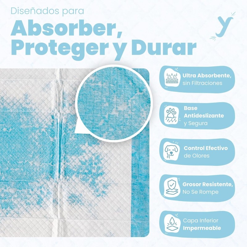 Dog Pee Pads Supplier - Super Absorbent 5-Layer Leak-Proof