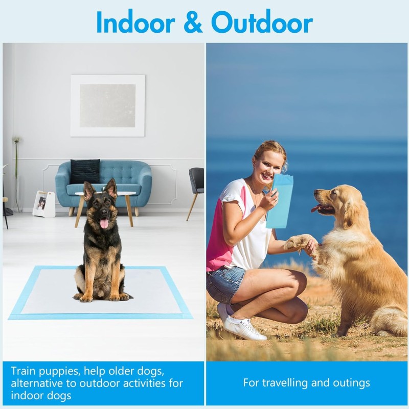 Dog Training Pads Manufacturer - Extra Large Odor Control