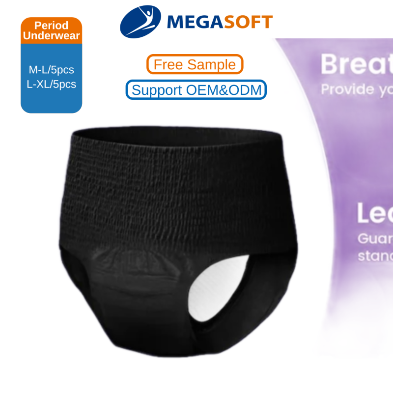 Menstrual Period Panties Supplier - Disposable High Absorbency