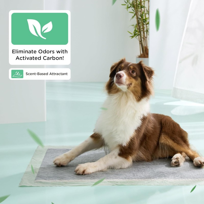 Puppy Training Pads Manufacturer - Super Absorbent 5-Layer