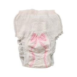 Menstrual Panties Factory - 2025 Top 1 Sales Eco-friendly