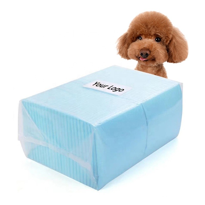 Puppy Pads Manufacturer - Sun Care OEM 60x60 Urine