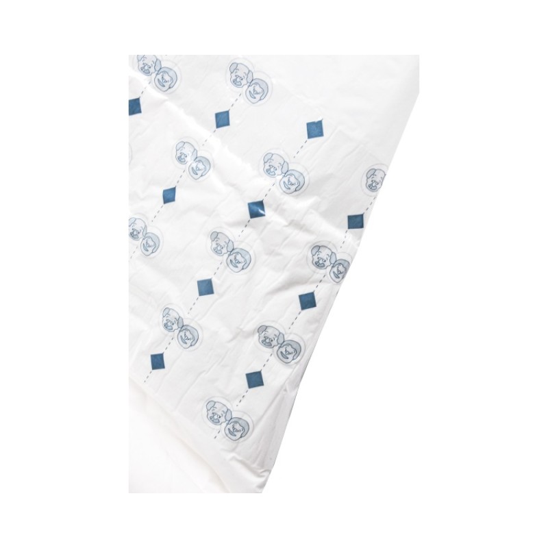 Adult Diaper Manufacturer - 2024 Newest Women Disposable