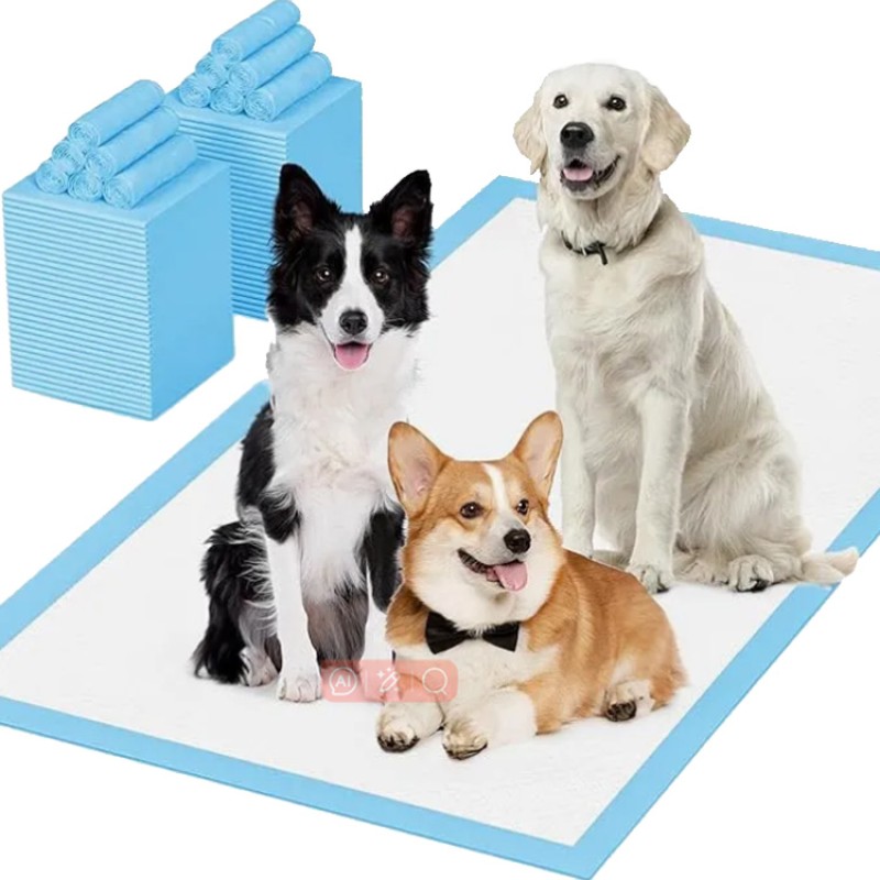 Pet Training Pad Factory - Low Price Leak-proof