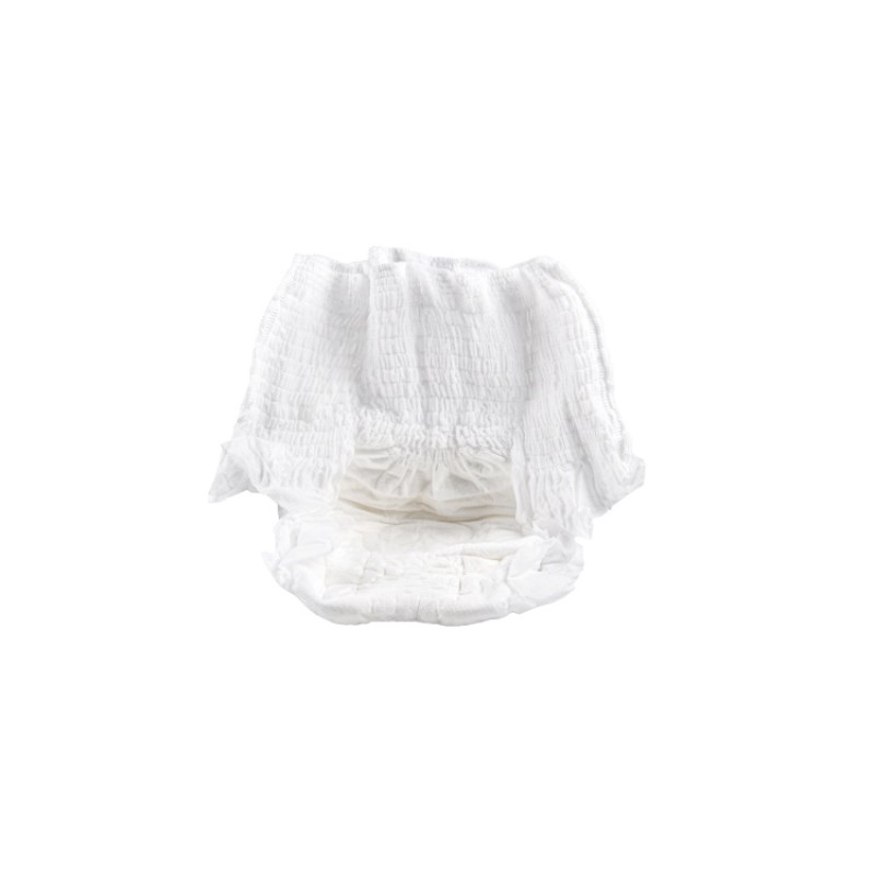 Menstrual Panties Manufacturer - Ultra-Thin Disposable