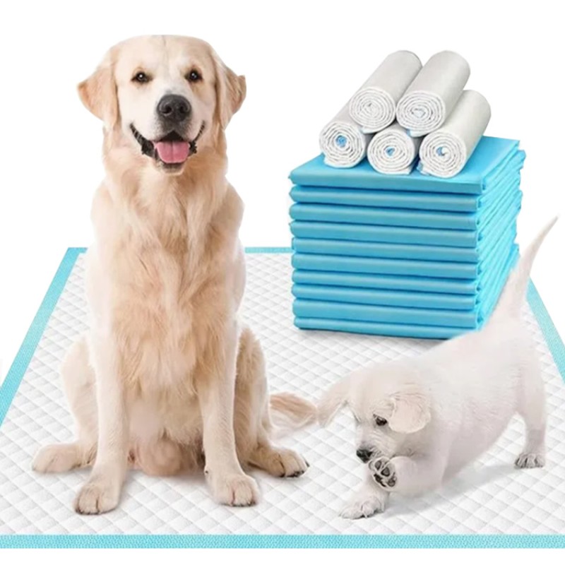 Pet Toilet Mat Supplier - Bamboo Charcoal Eco-Friendly