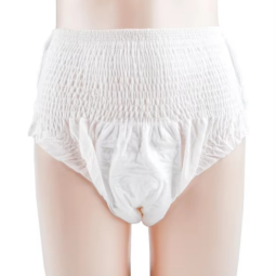 Sanitary Panties Supplier - 2024 Free Sample Wholesale