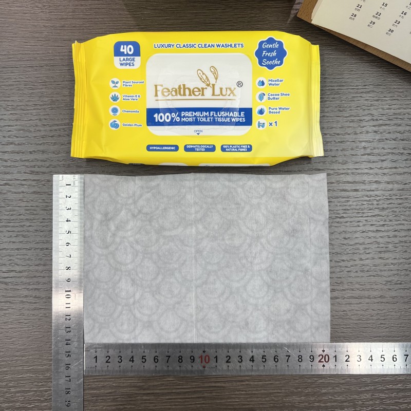 Cleaning Wet Tissue Supplier - Alcohol Free Customized Eco