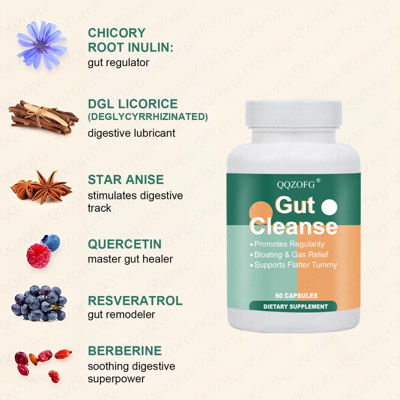 OEM Herbal Supplements for Gut Health Magnesium Berberine Vitamin D & Quercetin Capsules Colon Cleanse Formula