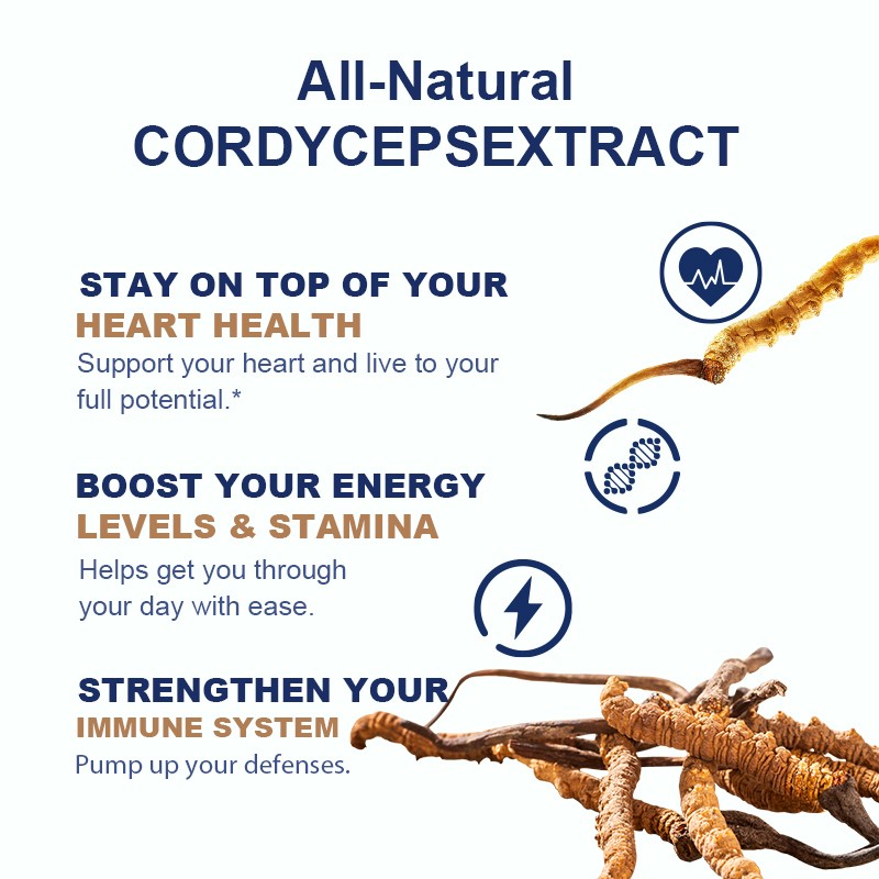 OEM Private Label Healthy Cordyceps Extract Liquid Drops Customizable Labels Halal Available Can Plastic Container Mason Jar