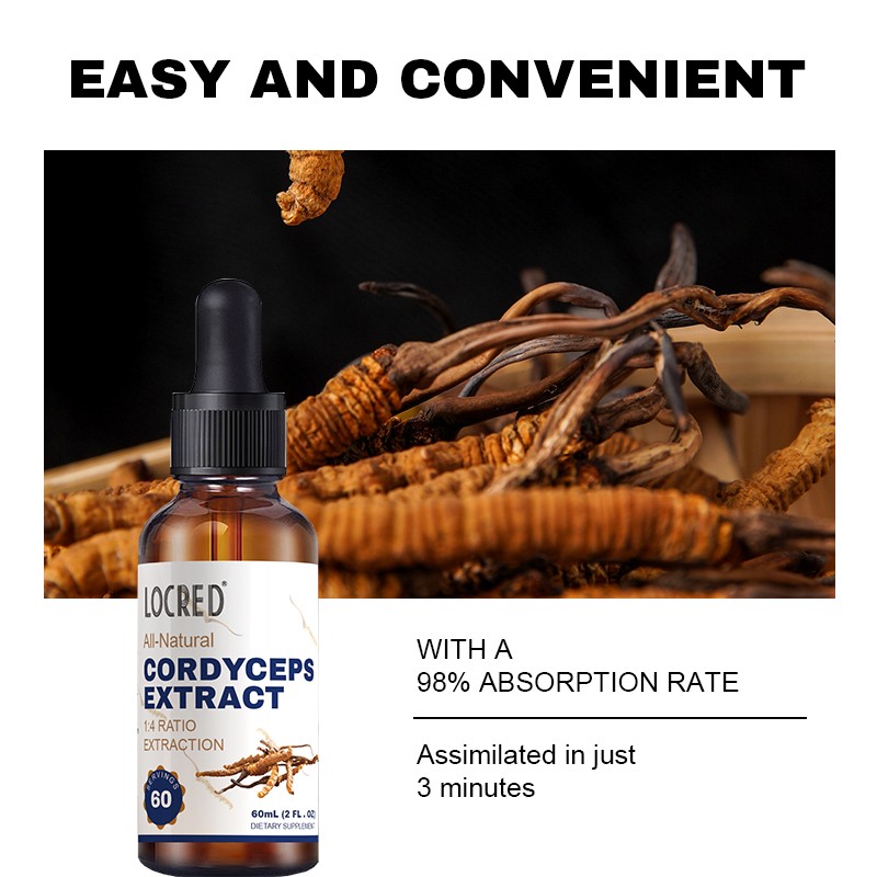 OEM Private Label Healthy Cordyceps Extract Liquid Drops Customizable Labels Halal Available Can Plastic Container Mason Jar