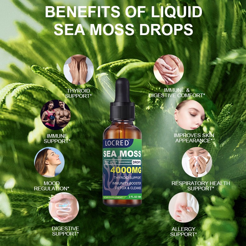 Hot Selling Oral Liquid Sea Moss Drops Multi-Beneficial Joint and Immune Support Supplement for Adults