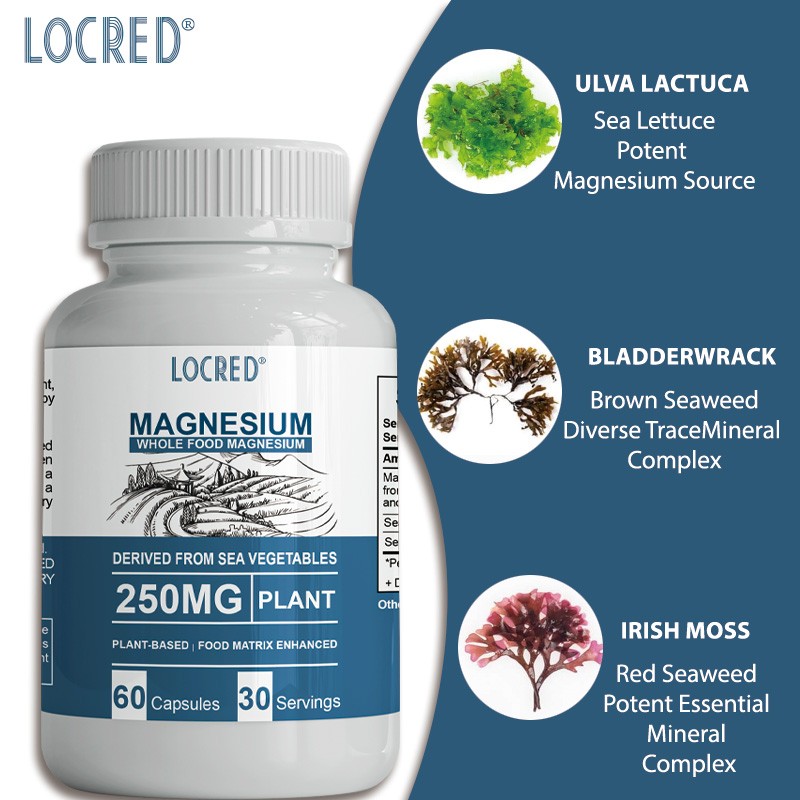 Hot Selling Magnesium Capsules for Adults Bone and Muscle Health Cognitive Function Energy Muscles Metabolism Supplements