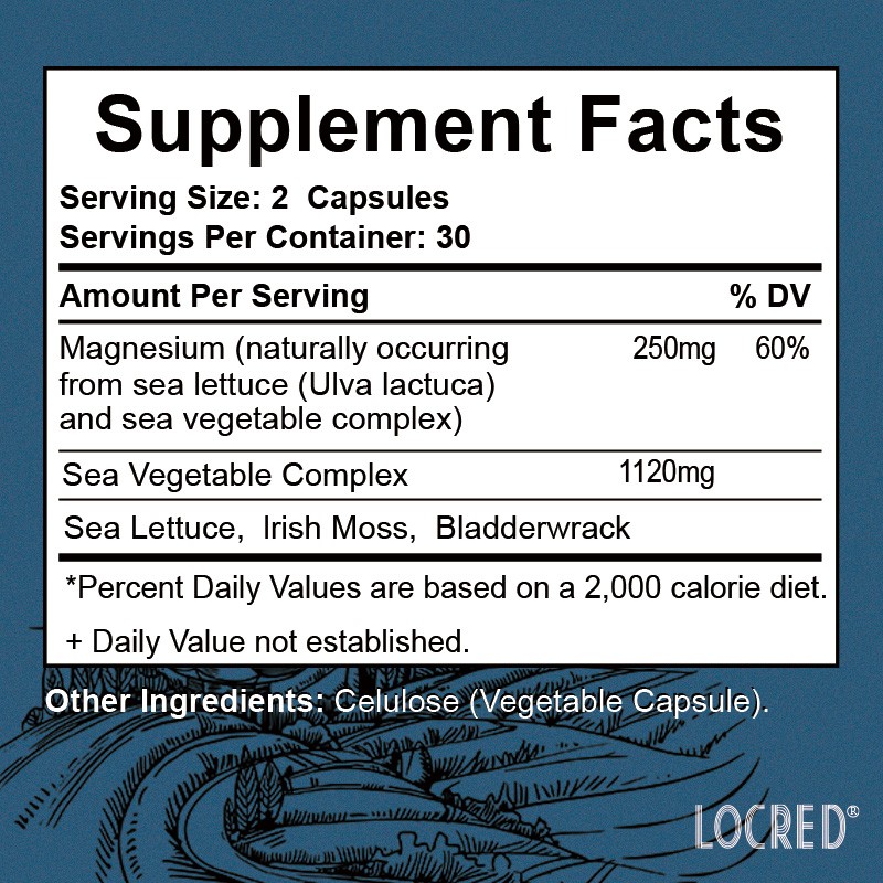 Hot Selling Magnesium Capsules for Adults Bone and Muscle Health Cognitive Function Energy Muscles Metabolism Supplements