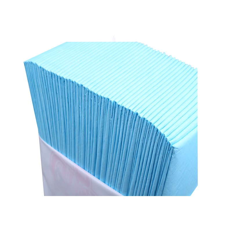 Pet Training Pads Factory - Pet Potty Training Disposable