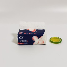 Facial Tissue Manufacturer - FSC Soft Outdoor Wettable