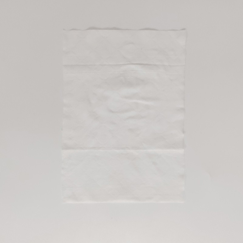 Wet Wipes Supplier - Wholesale Soothing Aloe Vera