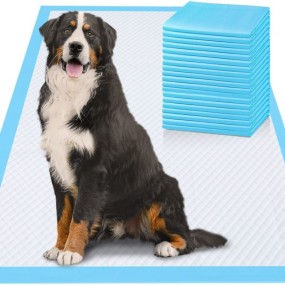 Pet Pads Supplier - Factory Custom 60x90 Travel