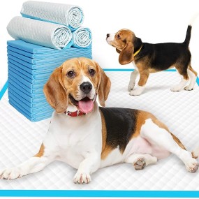 Pet Training Pads Factory - China Wholesale 60x60cm