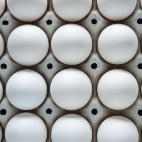 Table Eggs Factory - Farm Fresh Brown White