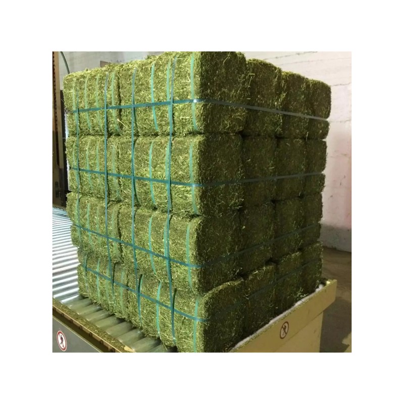 Alfalfa Hay Factory - Quality Alfalfa Hay Bays
