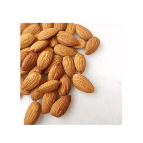 Almonds Supplier - Wholesale Bulk Delicious