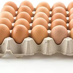 Table Eggs Factory - Fresh Table Eggs Farm Variety