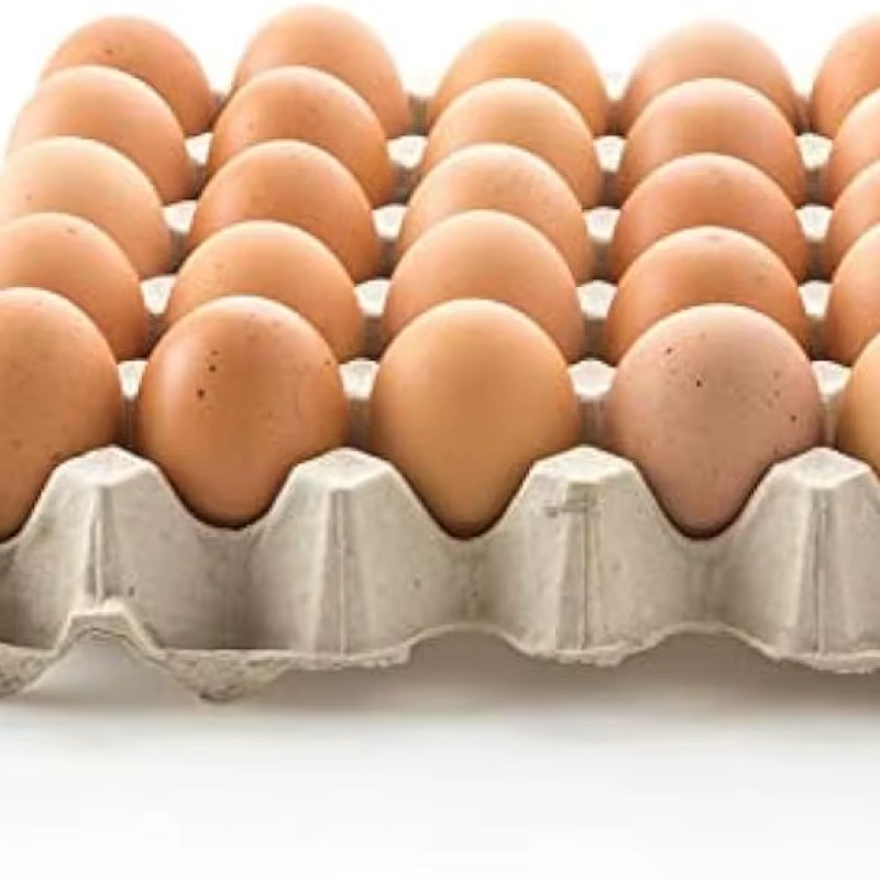 Table Eggs Factory - Fresh Table Eggs Farm Variety