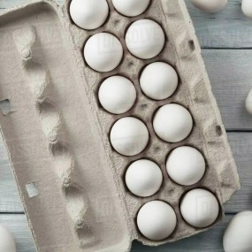 Table Eggs Factory - Best Quality Fresh White