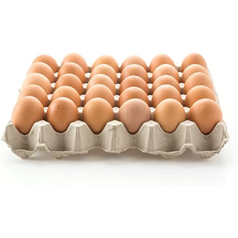 Table Eggs Factory - Best Quality Fresh White