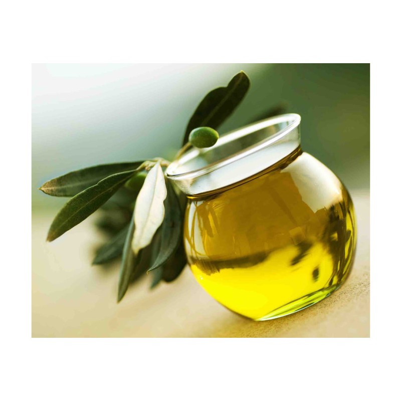 Olive Oil Supplier - High Quality Cold Press