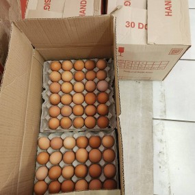 Eggs Supplier - Fresh White Chicken Eggs Bulk