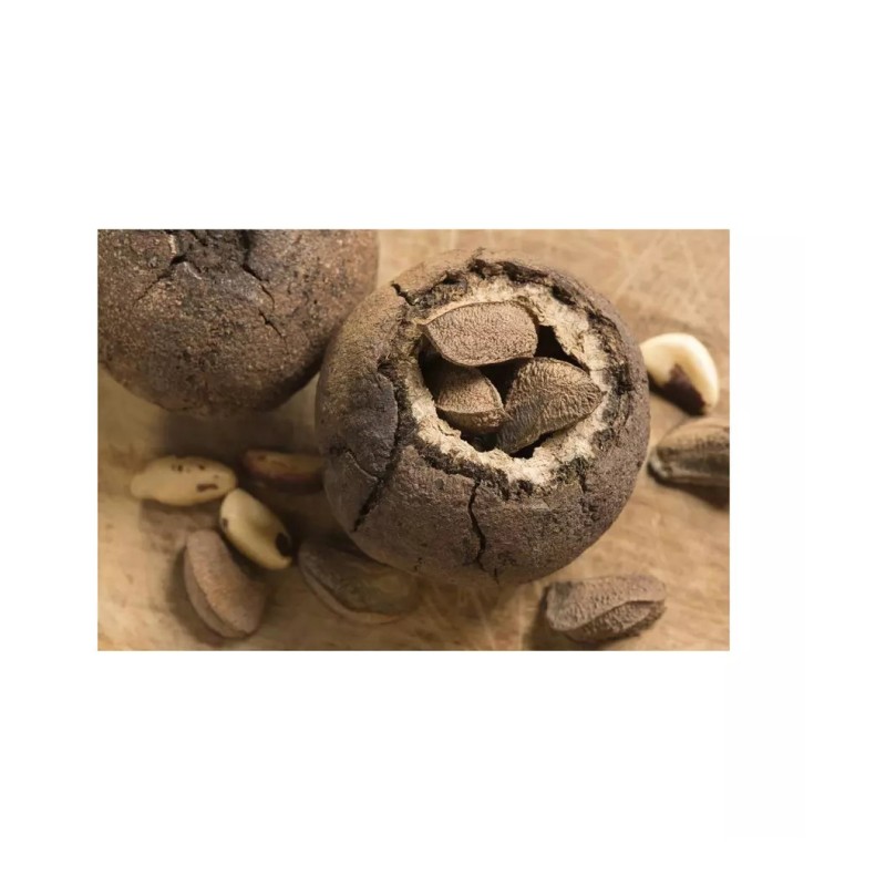 Brazil Nuts Factory - Natural Raw Shelled Mix