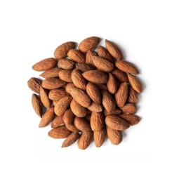Brazilian Almonds Manufacturer - 100% Super