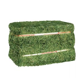 Alfalfa Hay Factory - Quality Alfalfa Hay Bays