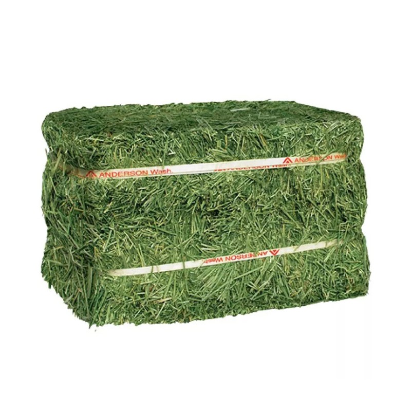 Alfalfa Hay Factory - Quality Alfalfa Hay Bays