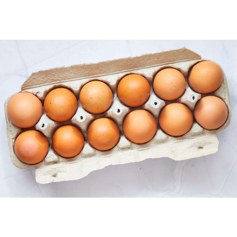 Table Eggs Factory - Best Quality Fresh White
