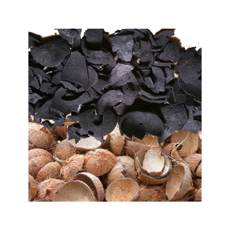 Activated Carbon Manufacturer - Coconut Charcoal
