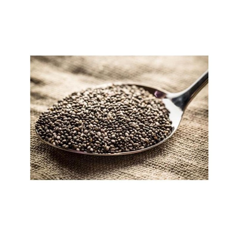 Chia Seeds Supplier - Organic Chia Seed Wholesale