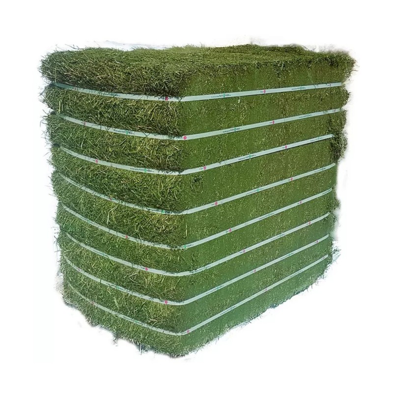 Alfalfa Hay Factory - Quality Alfalfa Hay Bays